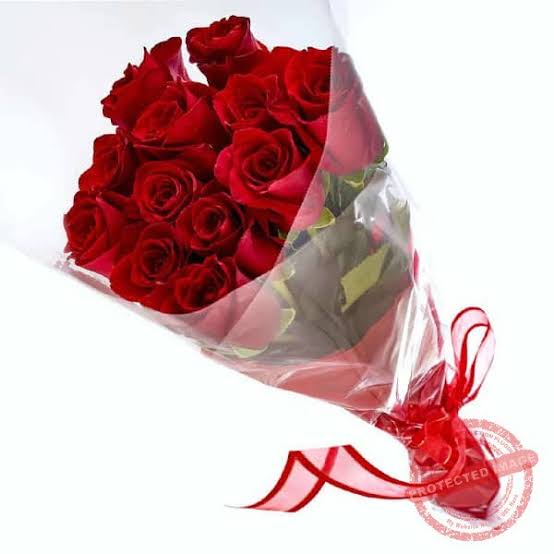 12 Red Imported Rose